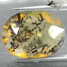 6.52 Ct. Natural Oval 13*17.5 mm. Black Dendrite Moss Fern Tree Yellow Opal 苔火蛋白
