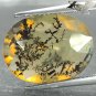 6.52 Ct. Natural Oval 13*17.5 mm. Black Dendrite Moss Fern Tree Yellow Opal èç«èç½