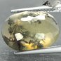 6.52 Ct. Natural Oval 13*17.5 mm. Black Dendrite Moss Fern Tree Yellow Opal èç«èç½