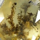 7.12 Ct.Natural Oval 12.5*16 mm. Black Dendrite Tree Crystal Smoky Yellow Opal