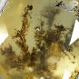 7.12 Ct.Natural Oval 12.5*16 mm. Black Dendrite Tree Crystal Smoky Yellow Opal