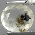 2.82 Ct.Natural Oval 10*11 mm. Bi Color Dendrite Moss Inside  Crystal White Opal