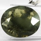 20.96 Ct.Natural Oval 19*23.5 mm. Black Dendrite Moss Fern Tree Yellow Opal Gems