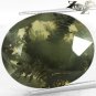 20.96 Ct.Natural Oval 19*23.5 mm. Black Dendrite Moss Fern Tree Yellow Opal Gems