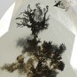 10.75 Ct.Rare Pattern Natural Pear Perfect Condition Black Dendrite White Fire Opal