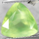4.09 CT.VVS Firely Natural Trillion 10.5 mm. Intense Apple Green Mali Prehnite