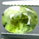 2.43 CT.Natural Oval 7*9 mm. Rutile Black Tourmaline Brown Plant Green Prehnite