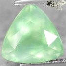 3.92 CT.Full Fire Natural Trillion 10 mm. Intense Blue Green Mali Prehnite Gems
