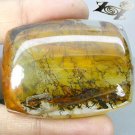 175 CT.Unusual Natural Cushion 34*45 mm. Black Thunderbolt Reflect Moss Quartz