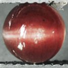Natural Round 6.3 mm. Strong Ca'ts Eye Intense Pink Red Scapolite 1.53 CT.Gems