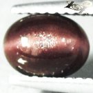 Natural Oval 6*7.5 mm. Strong Cat's Eye Red Brown Tanzania Scapolite 1.23 CT.Gem