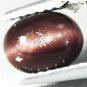 Natural Oval 6*7.5 mm. Strong Cat's Eye Red Brown Tanzania Scapolite 1.23 CT.Gem