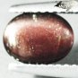Natural Oval 6*7.5 mm. Strong Cat's Eye Red Brown Tanzania Scapolite 1.23 CT.Gem