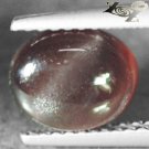 Natural Oval 7*8.5 mm. Cat's Eye Effect Tanzania Red Purple Scapolite 1.58 CT.