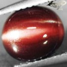 3.15 CT.Natural Oval 7.5*9 mm. Strong Cat's Eye Effect Brown Red Scapolite Gems