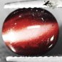 3.15 CT.Natural Oval 7.5*9 mm. Strong Cat's Eye Effect Brown Red Scapolite Gems