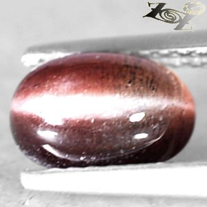 Natural Oval 5.5*8 mm Cat's Eye Effect Bi  Zone Brown Red Gray Scapolite 1.55 CT