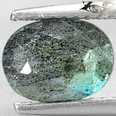 Strange Natural Oval Bi Color  6*8.5 mm. Schiller Each Half Spectrolite 1.76 Ct