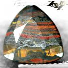 4.38 CT.Natural Trillion 10 mm. Chatoyant Red Black Gold Skin Tiger Iron 鐵老虎
