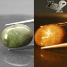 10.1 Ct.Natural Oval White Sheen Color Shift Green Anatoria Diaspore