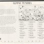 U.S. POSTAGE STAMPS "ALPINE TUNDRA"