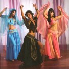 SIMPLICITY 2941 SEWING PATTERN FOR MISSES COSTUME- BELLY DANCER SZ 14-20