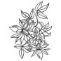 Darice Embossing Folder Essentials-Loose Floral 1218-51