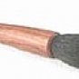 Wooden Eye Buki Brush
