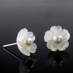 shell  earring  &iuml;&frac14;�10