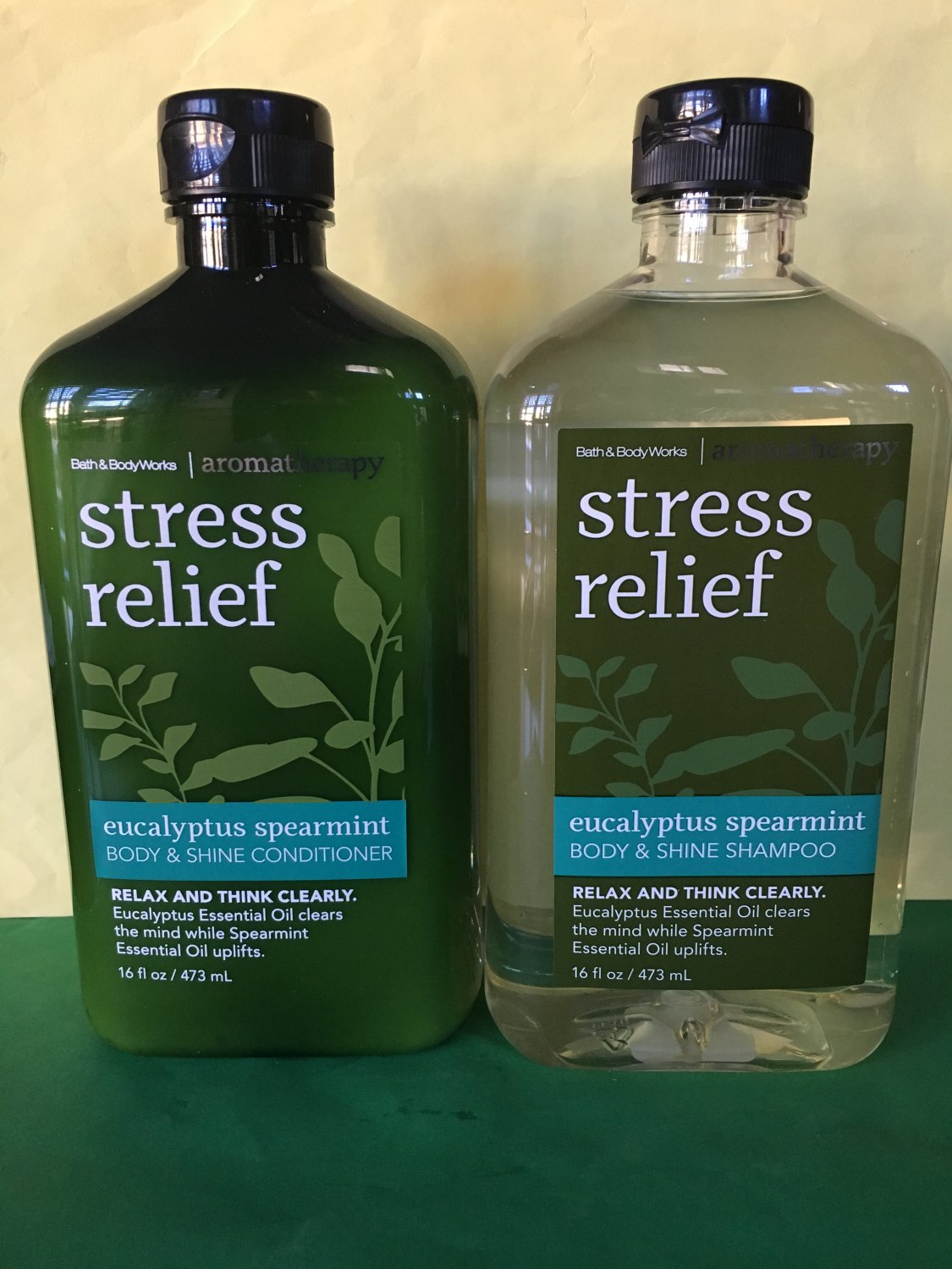 Bath & Body Works Aromatherapy Eucalyptus Spearmint Shampoo