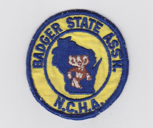 Vtg Retro Wisconsin Badger State Association NCHA N.C.H.A. Patch Badge Rare