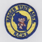 Vtg Retro Wisconsin Badger State Association NCHA N.C.H.A. Patch Badge Rare