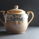 Vintage Porcelain Sugar Bowl & Lid Hand Painted Made in Japan Floral Design Tan