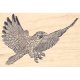 Rubber Stamps