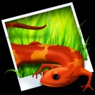 PhotoGalley Add-on