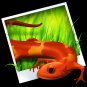 PhotoGalley Add-on