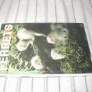 Ferrets by Winsted T.F.H Publications HB