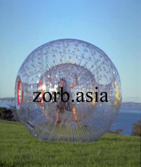 amazon zorb ball