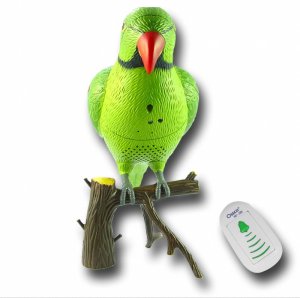 Recordable Parrot Wireless Doorbell  [TKE-CVESA-RD388]