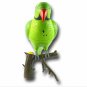 Recordable Parrot Wireless Doorbell  [TKE-CVESA-RD388]