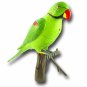Recordable Parrot Wireless Doorbell  [TKE-CVESA-RD388]