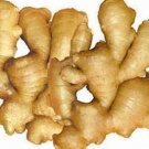 Curcumin98%