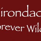 Adirondacks - Forever Wild
