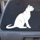 Vinyl Decal Cat_05_A