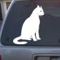 Vinyl Decal Cat_02_A