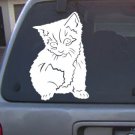 Vinyl Decal Cat10