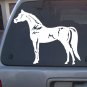Decal Vinyl  Horse 04_  4 Colors to pick