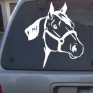 Decal Vinyl  Horse 20_  4 Colors to pick