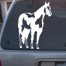 Decal Vinyl  Horse 16_  4 Colors to pick