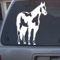Decal Vinyl  Horse 16_  4 Colors to pick